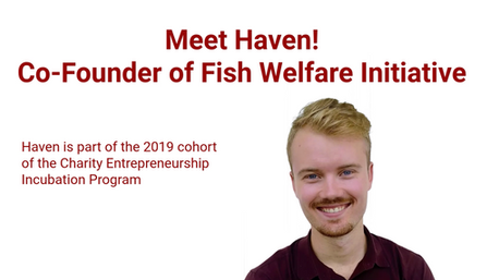 A Day in the Life of Haven - Cofounder of Fish Welfare Initiative